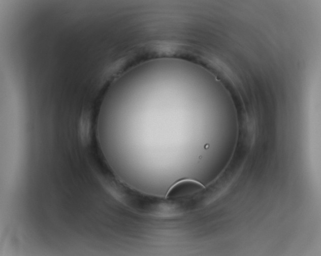 X0000113870496200909241335