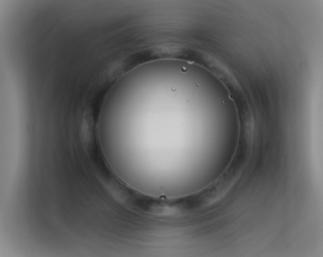 X0000113870498200909241335