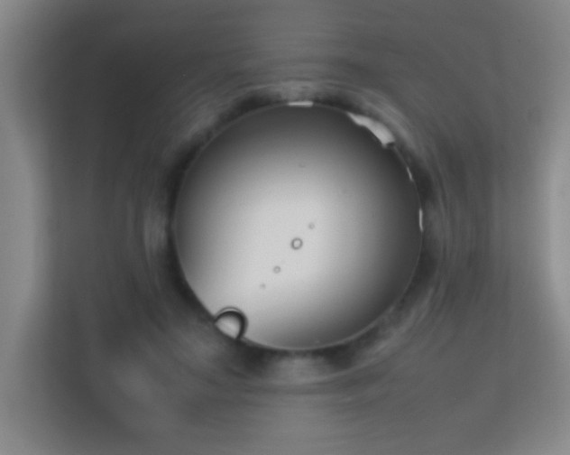 X0000113870499200909241335