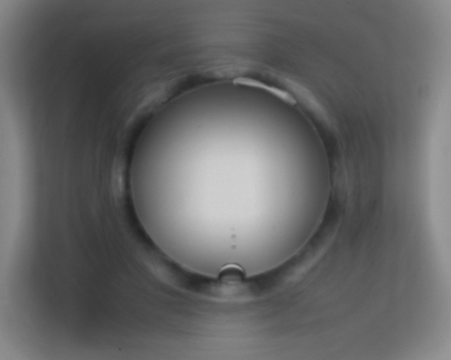 X0000113870501200909241335