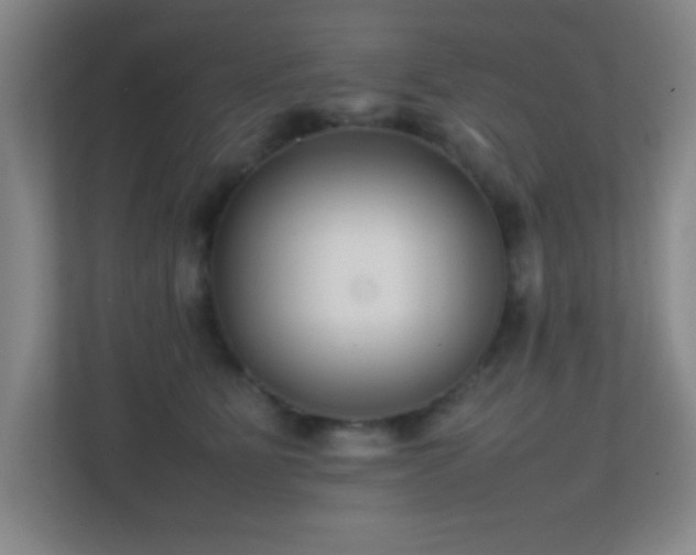 X0000113870515200909241335