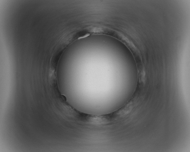 X0000113870521200909241334