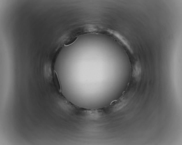 X0000113870524200909241334