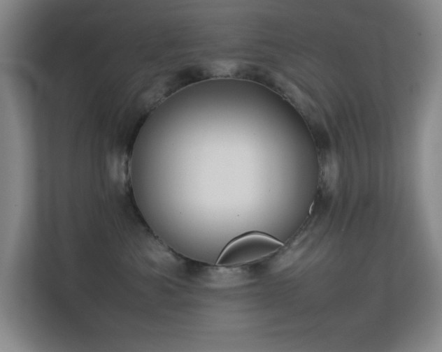 X0000113870525200909241334