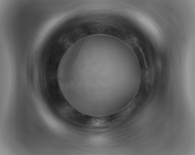 X0000113870526200909241334