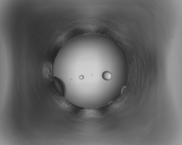 X0000113870528200909241334