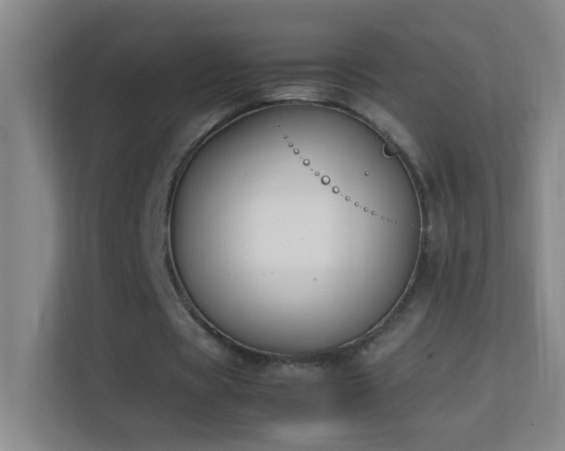 X0000113870529200909241334