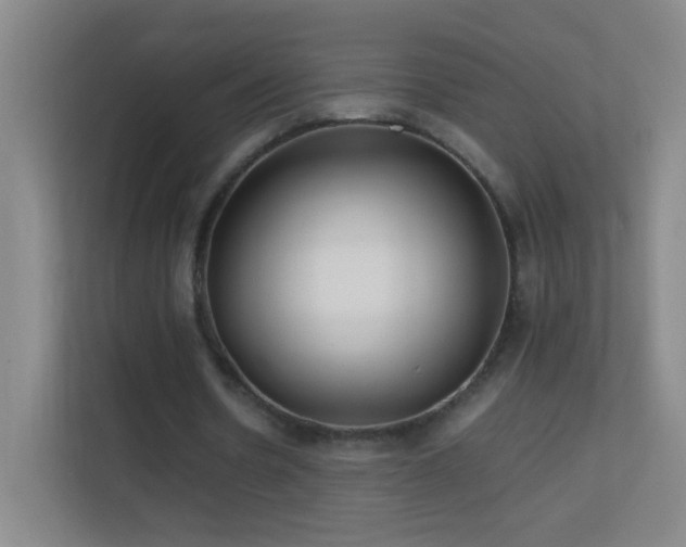 X0000113870530200909241334