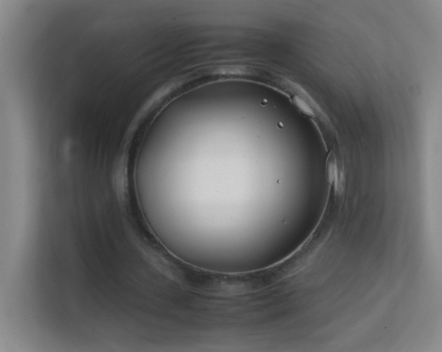 X0000113870531200909241334