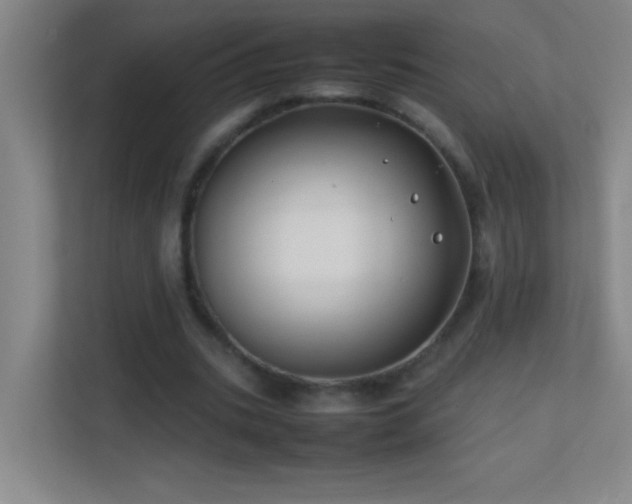 X0000113870535200909241334