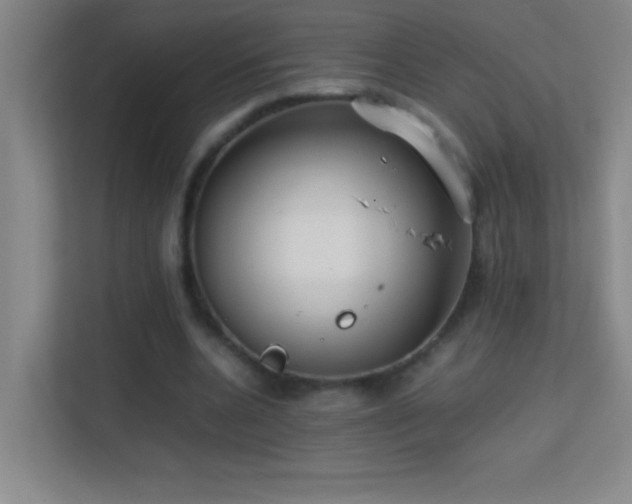 X0000113870536200909241334