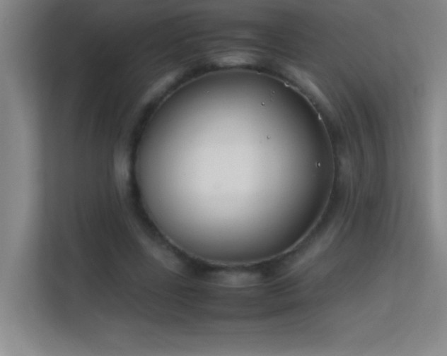 X0000113870539200909241334