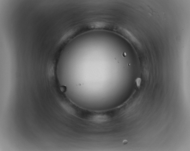 X0000113870543200909241334