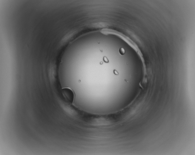 X0000113870544200909241334