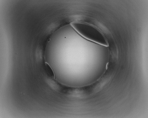 X0000113870546200909241334