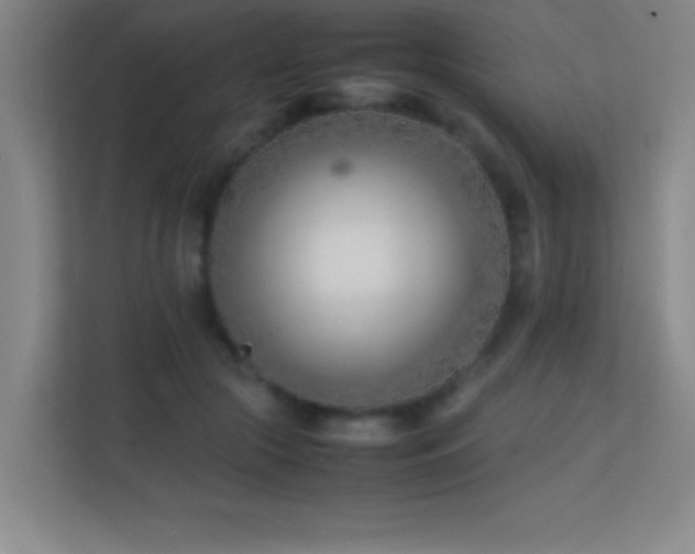 X0000113870553200909241334