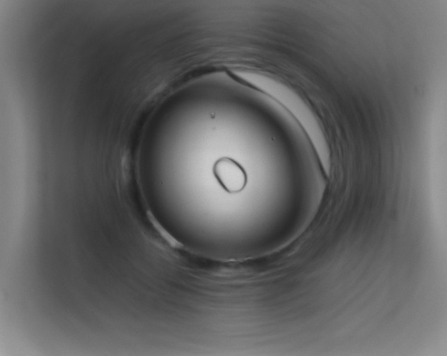 X0000113870556200909241334