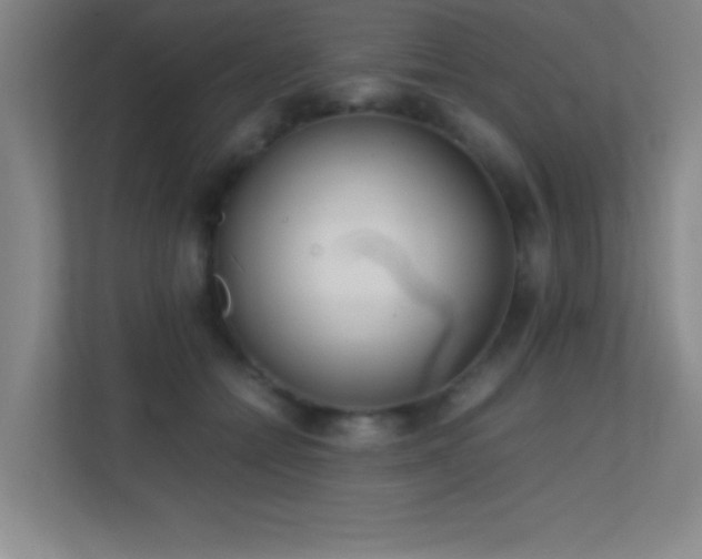 X0000113870558200909241334