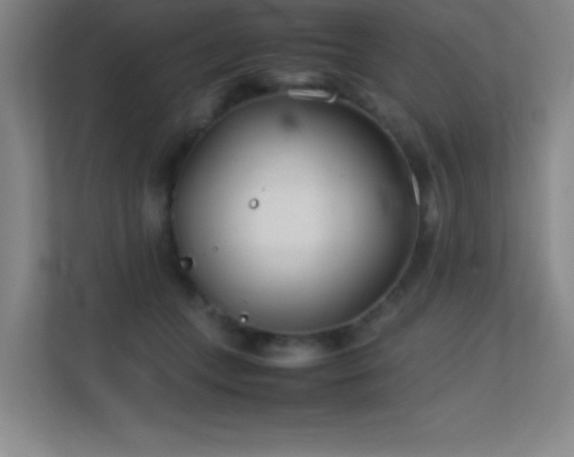 X0000113870559200909241334