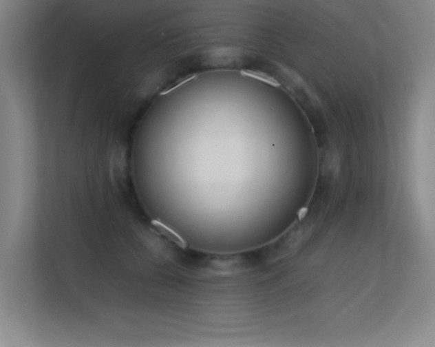 X0000113870560200909241334