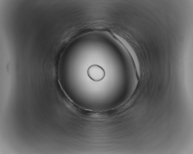 X0000113870568200909241334