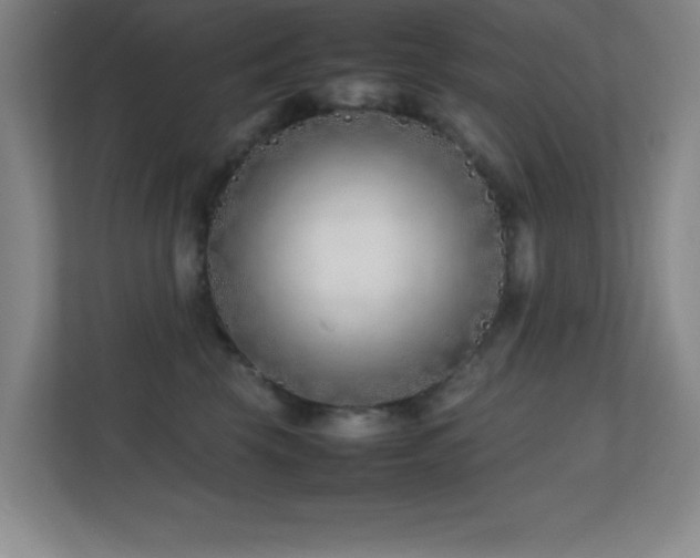 X0000113870569200909241334