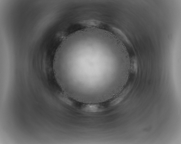 X0000113870573200909241334