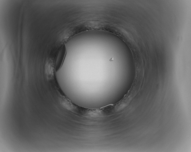 X0000113870576200909241334