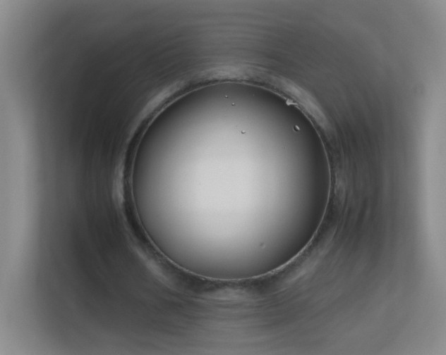 X0000113870578200909241334