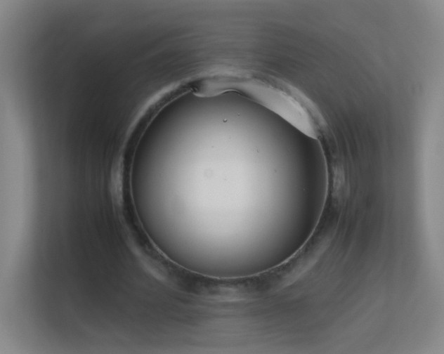 X0000113870580200909241334