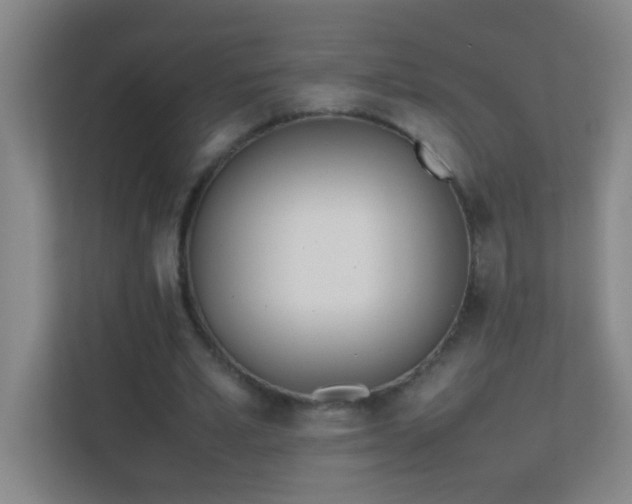 X0000113870581200909241334