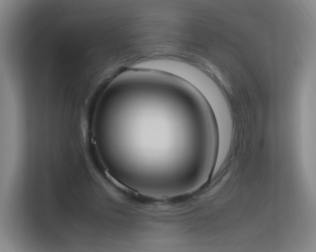 X0000113870589200909241334