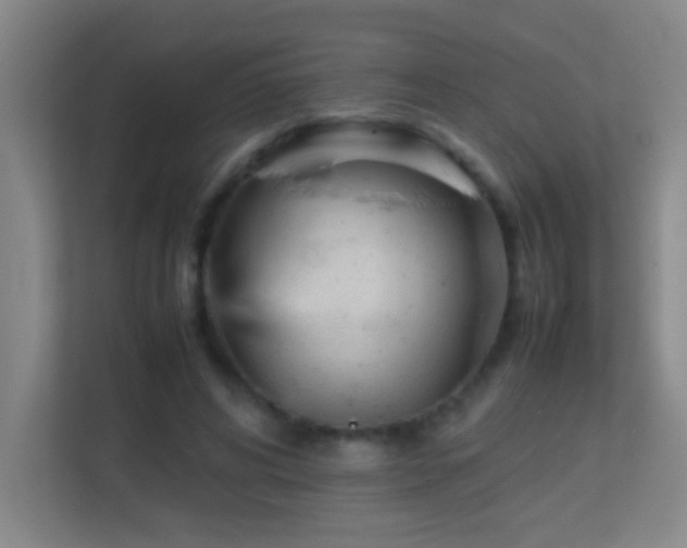 X0000113870592200909241334