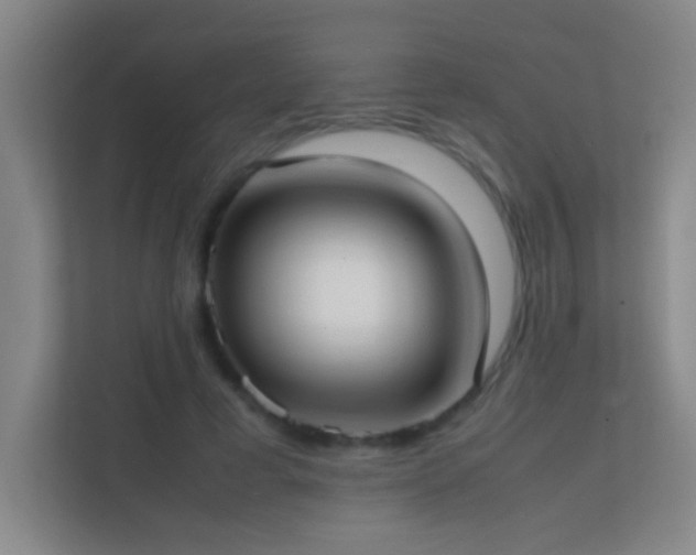 X0000113870593200909241334