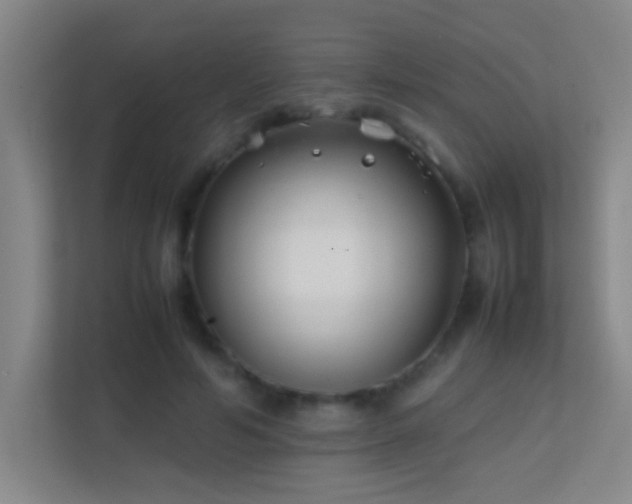 X0000113870594200909241334