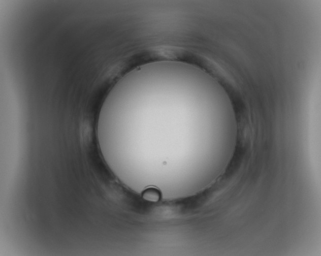 X0000113870595200909241334