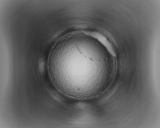 X0000113870596200909241333