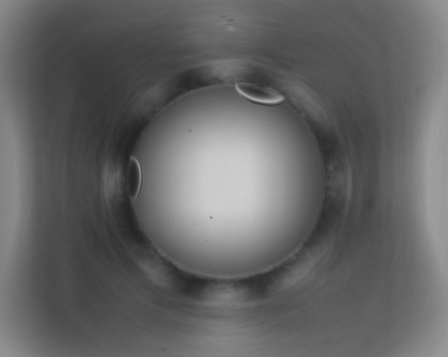 X0000113870597200909241333