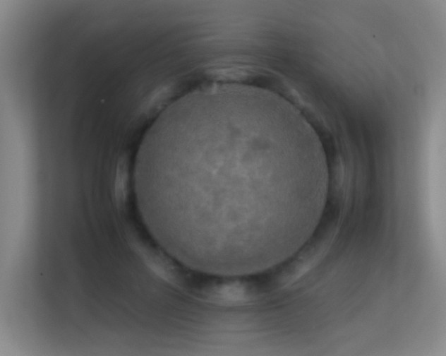 X0000113870600200909241333