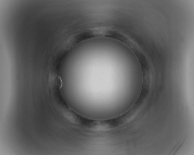 X0000113870601200909241333