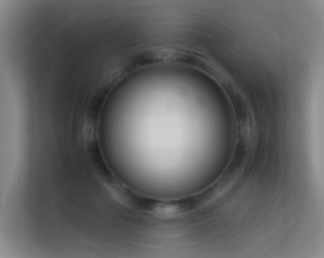 X0000113870602200909241333