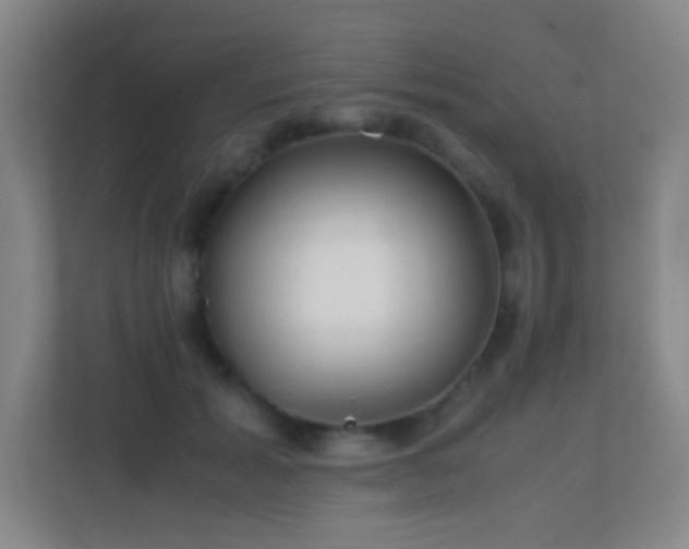 X0000113870605200909241333