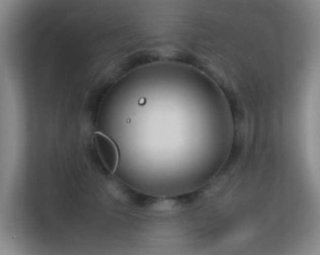 X0000113870609200909241333