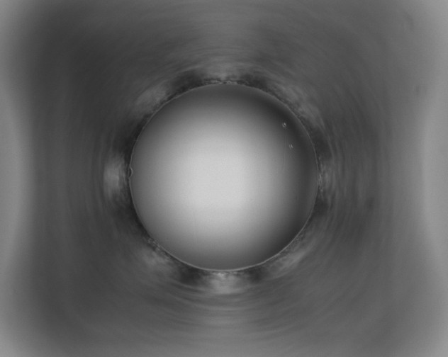 X0000113870623200909241333