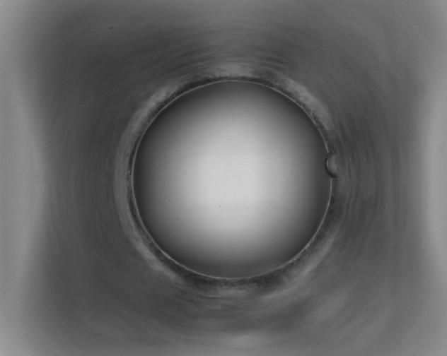 X0000113870625200909241333