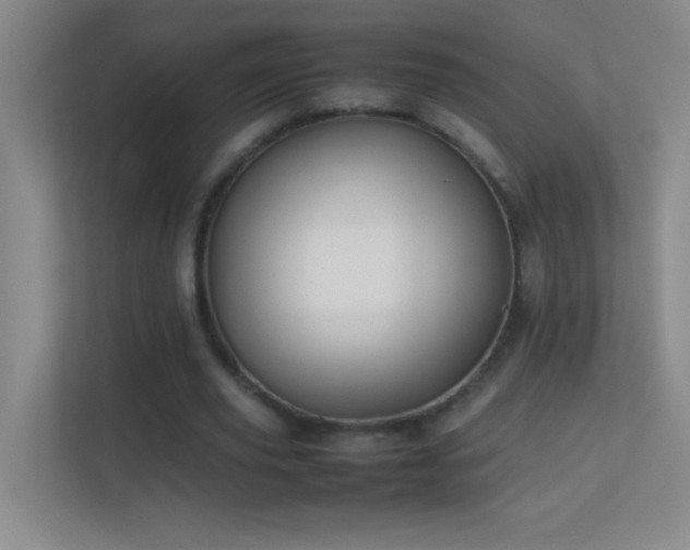 X0000113870629200909241333