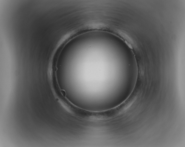 X0000113870630200909241333