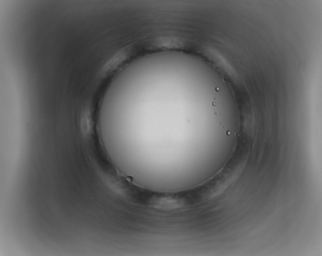 X0000113870635200909241333