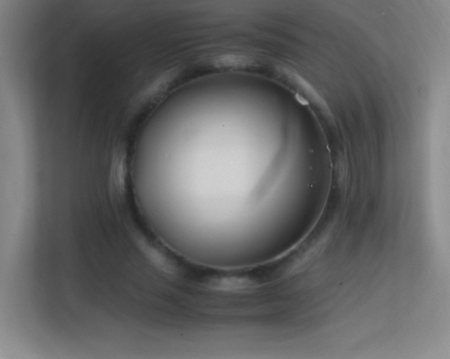 X0000113870637200909241333