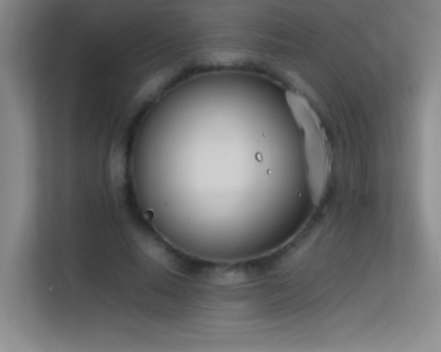 X0000113870640200909241333